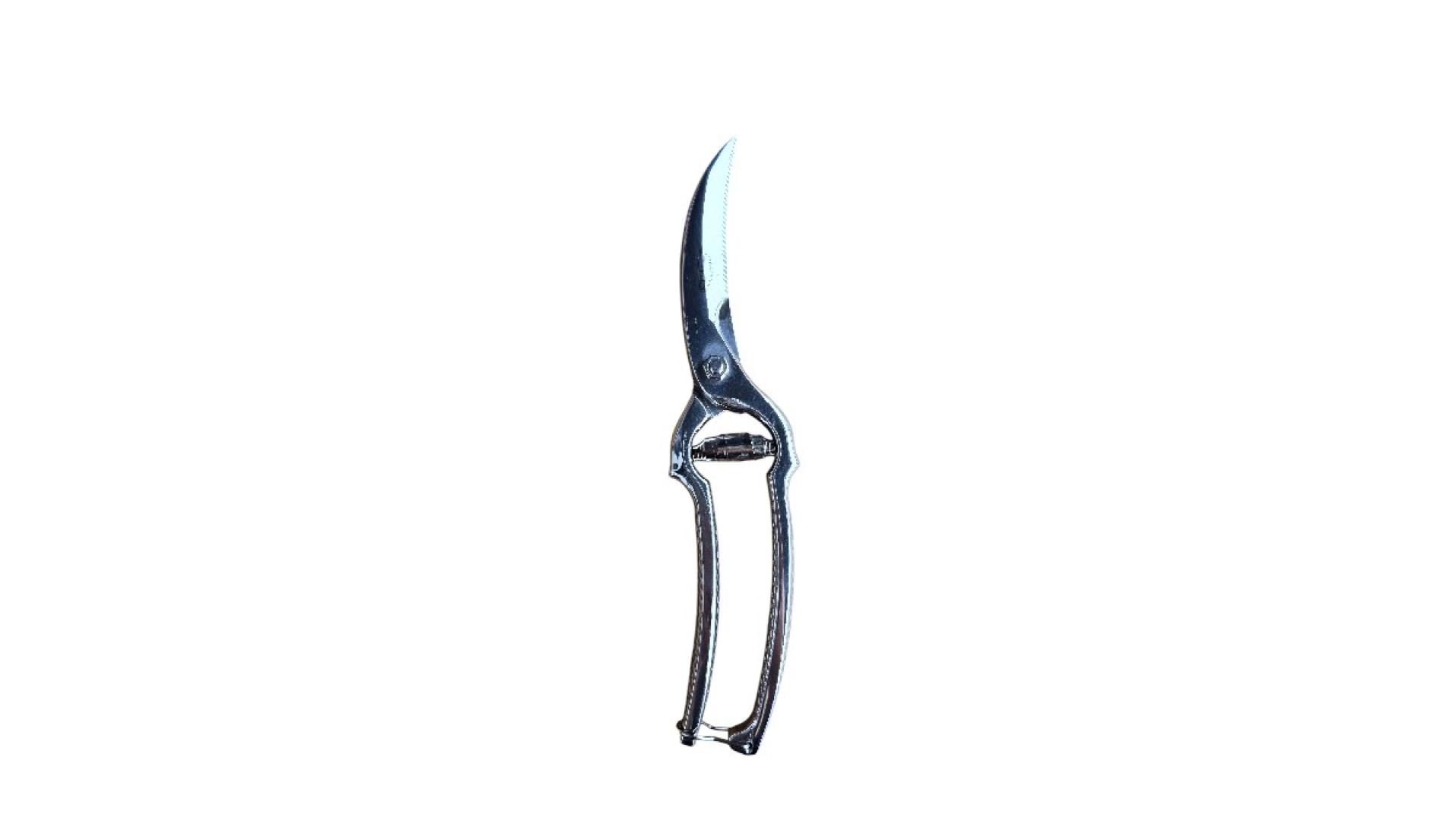 Škare mesarske - Dick 25 cm